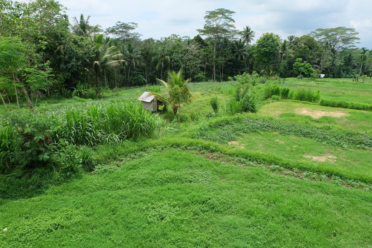 The Rana Villa Tegallalang  Extérieur photo