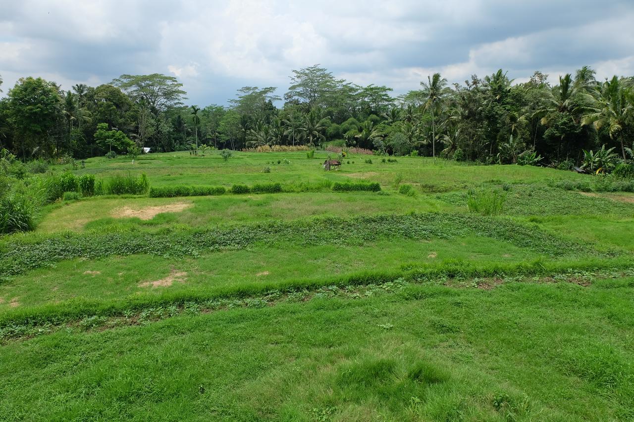 The Rana Villa Tegallalang  Extérieur photo